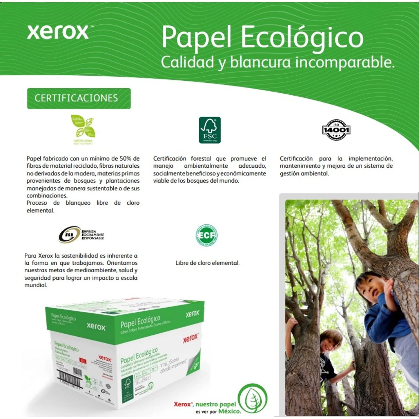 Caja de Papel "Tamaño Carta o Oficio" Xerox "Papel Ecológico" Multipropósito 93% Blancura 5000 hojas
